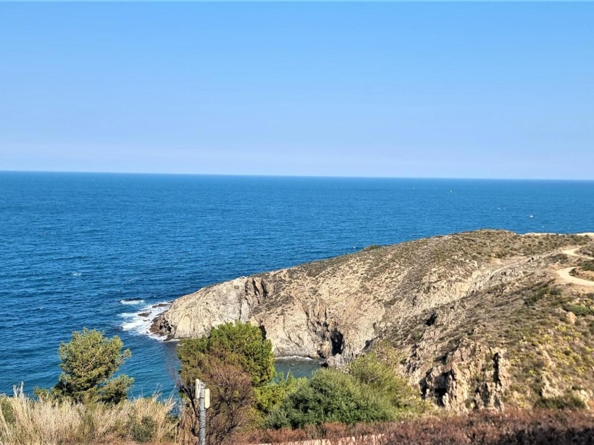 Appartement T2 Avec Terrasse, Parking, Wifi, Proche Plage - Fr-1-309-373 Banyuls-sur-Mer Extérieur photo